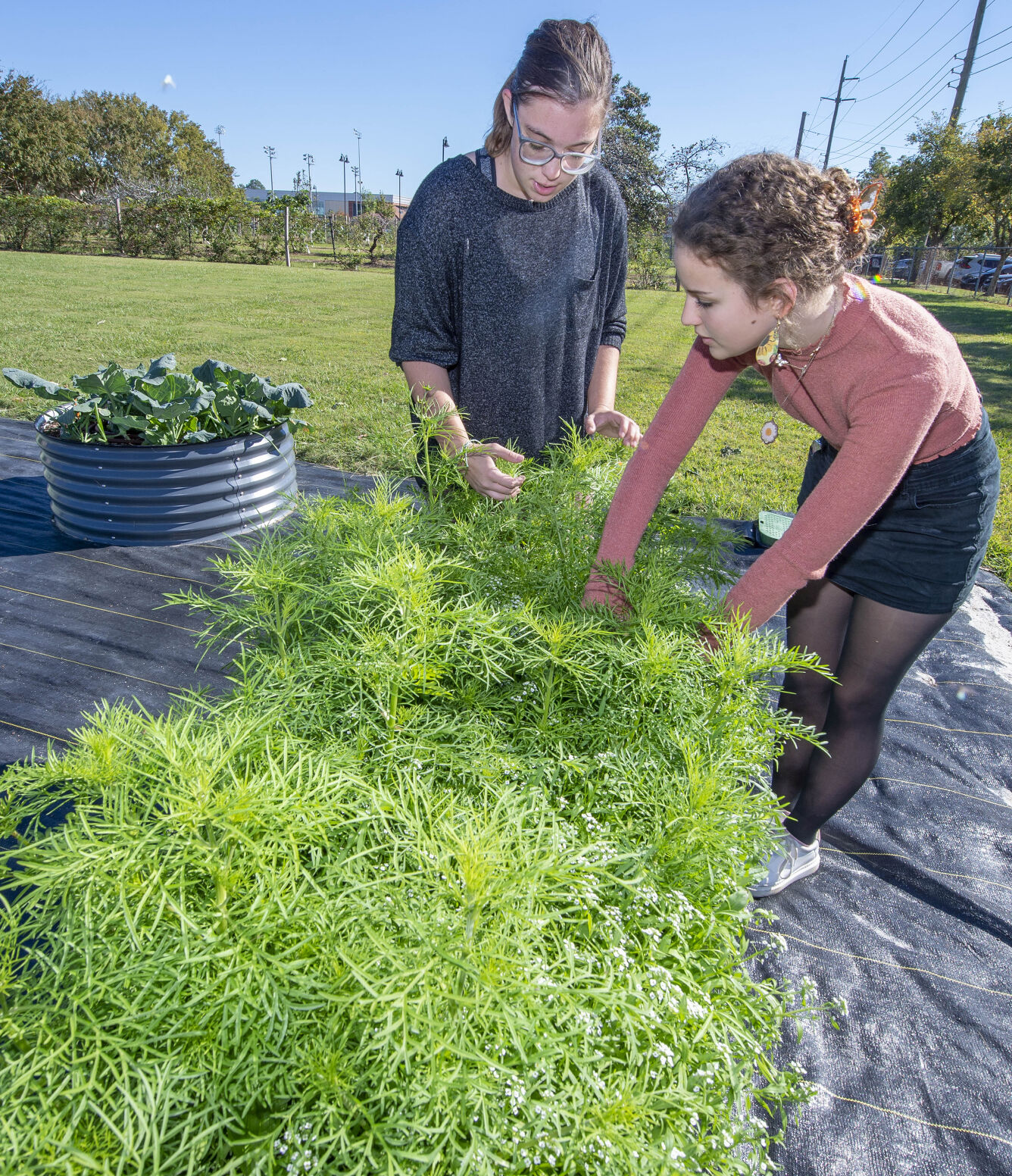 Weekends are for gardening: How to plant flowers and veggies, attract birds and love your lawn | Home/Garden 3 BR.lsugardenliv.112821 0056 bf.jpg
